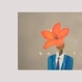 木棉花先生