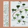 基隆老樹網頁介面設計-草圖以滾動式設計路線連接所有樹木，讓觀者能夠逐步跟隨點選，彷彿實際走訪一般。
